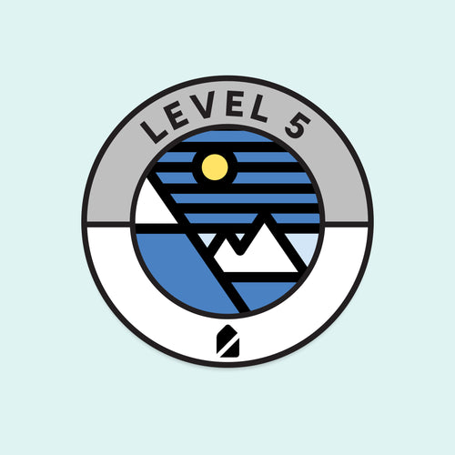 Intermediate Level Badge Pack
