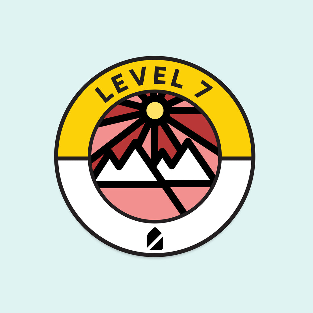 Intermediate Level Badge Pack