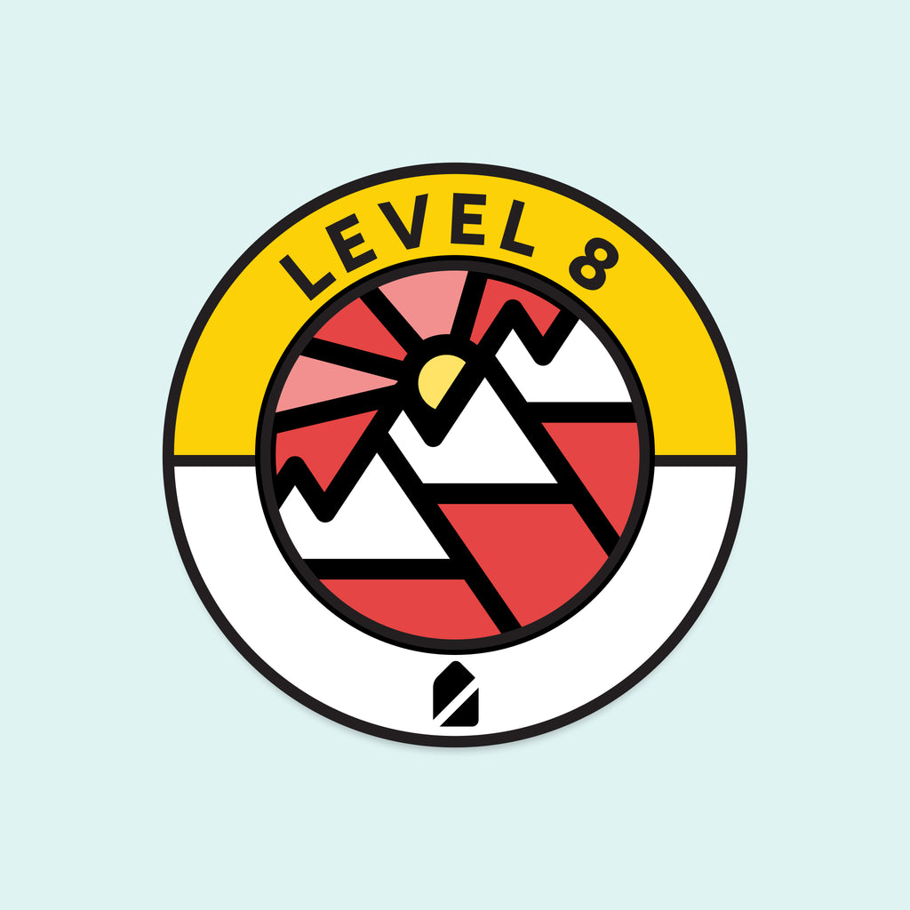 Intermediate Level Badge Pack