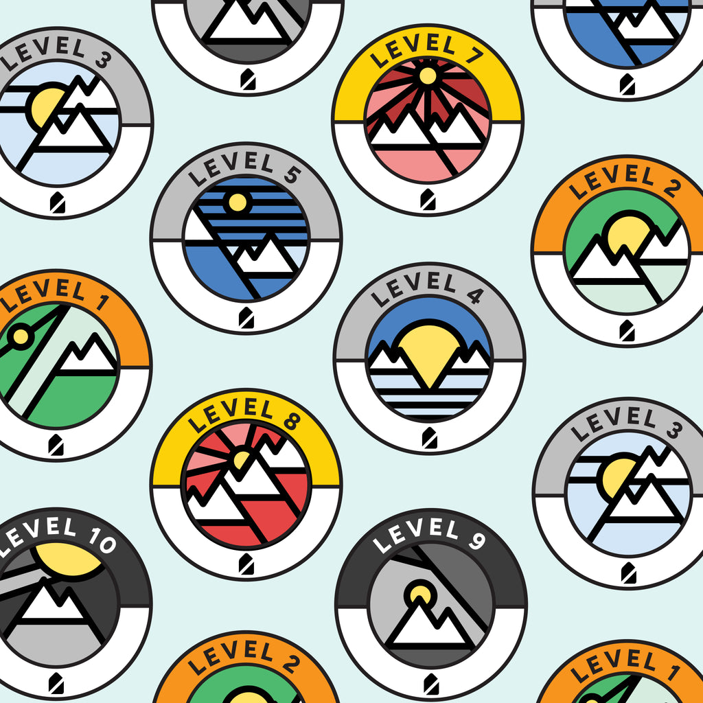 Intermediate Level Badge Pack